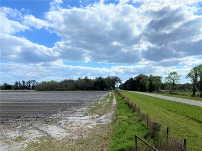 24103 COUNTY ROAD 239, Alachua, FL, 32615 — photo 2