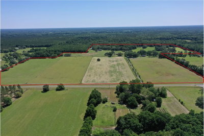 3290 COUNTY ROAD 337, Trenton, FL, 32693 — photo 2