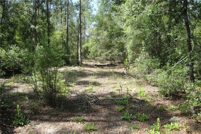 25TH Avenue, Branford, FL, 32008 — photo 2