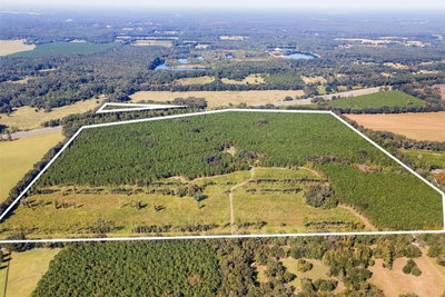21400 CR 235A, Alachua, FL, 32615 — photo 2