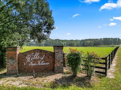 10117 132 Drive, Alachua, FL, 32615 — photo 2