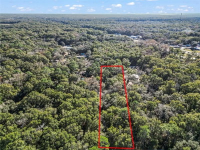 XX 170TH Street, Fanning Springs, FL, 32693 — photo 2
