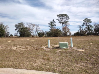 6400 180 Circle, Dunnellon, FL, 34432 — photo 2