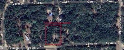 TBD DAVID Drive, Interlachen, FL, 32148 — photo 2