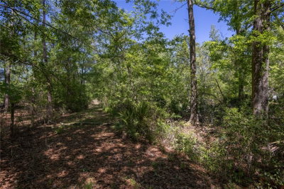 108TH Avenue, Waldo, FL, 32694 — photo 2