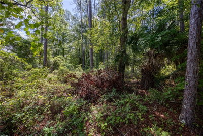HAWTHORNE Road, Hawthorne, FL, 32640 — photo 2