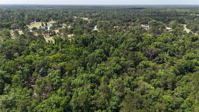 12100 US HIGHWAY 441, Alachua, FL, 32615 — photo 2