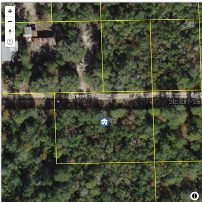 TBD 236 Street, Fort Mc Coy, FL, 32134 — photo 2