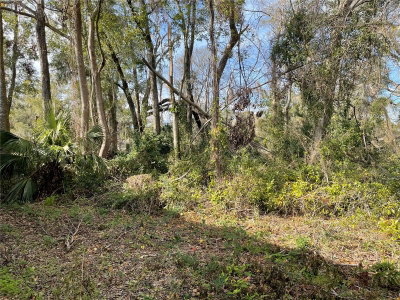 lot 1 135TH Terrace, Alachua, FL, 32615 — photo 2