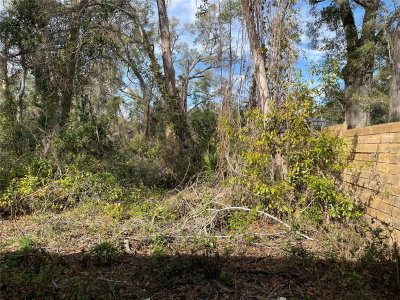lot 2 135TH Terrace, Alachua, FL, 32615 — photo 2