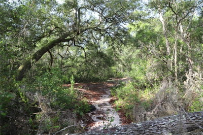 00 STATE ROAD 100, Keystone Heights, FL, 32656 — photo 2