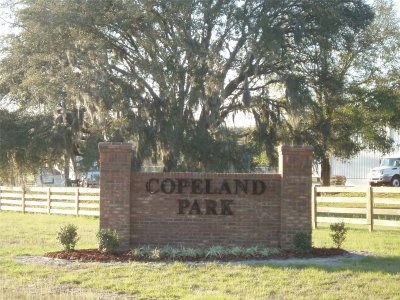 TBD 126TH Terrace, Alachua, FL, 32615 — photo 2