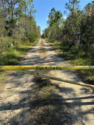 TBD QUAIL Road, Cedar Key, FL, 32625 — photo 2