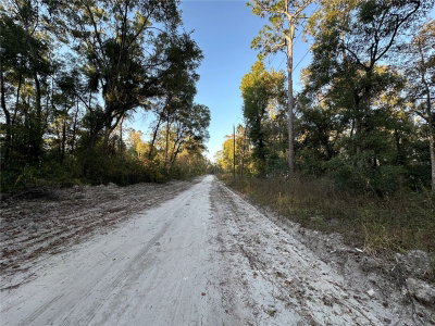 150 926TH Street, Old Town, FL, 32680 — photo 2
