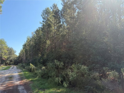 7818 STATE ROAD 45, High Springs, FL, 32643 — photo 2