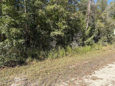 108TH Avenue, Bronson, FL, 32621 — photo 2