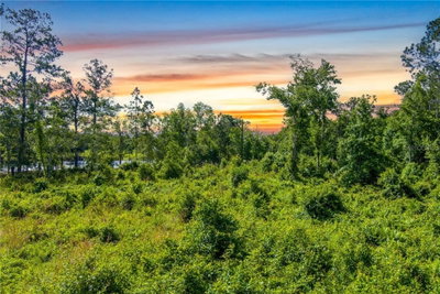 3201 RAULERSON Road, St Augustine, FL, 32092 — photo 2