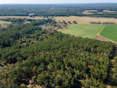 TBD COUNTY RD 1491, Alachua, FL, 32615 — photo 2