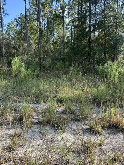 103 LEE DR, Hawthorne, FL, 32640 — photo 2