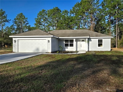 2988 BONABLE Drive, Dunnellon, FL, 34431 — photo 2