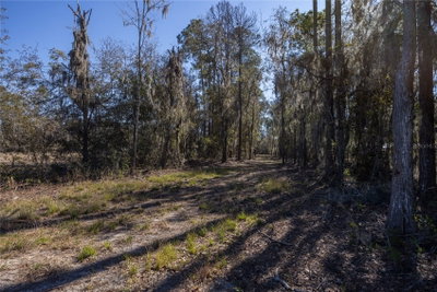 155TH Way, Starke, FL, 32091 — photo 2