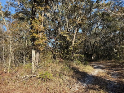 126 Street, Bronson, FL, 32621 — photo 2