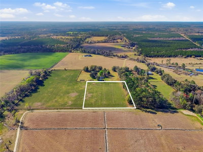 TBD COUNTY RD 239, Alachua, FL, 32615 — photo 2
