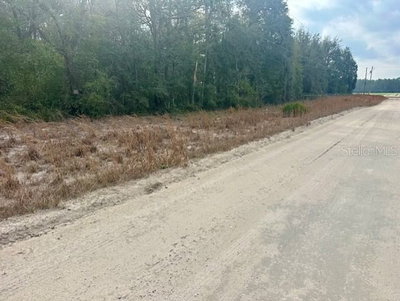 NW 11TH Avenue, Bell, FL, 32619 — photo 2