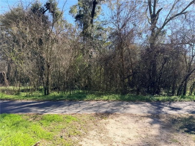 TBD 151ST Avenue, Alachua, FL, 32615 — photo 2