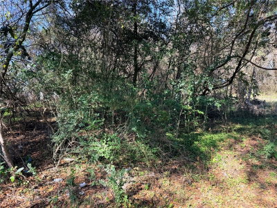 TBD 151ST Avenue, Alachua, FL, 32615 — photo 2