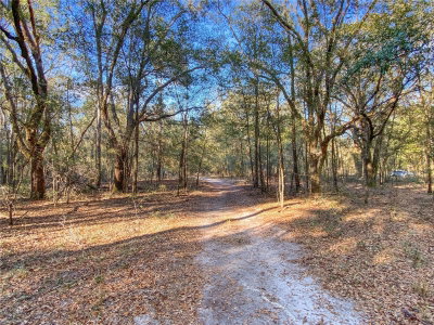 SW BUFFALO CT, Fort White, FL, 32038 — photo 2