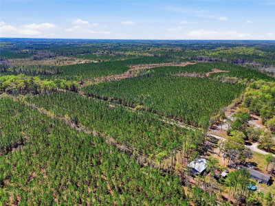 TBD POUNDS HAMMOCK Road, Lake City, FL, 32025 — photo 2
