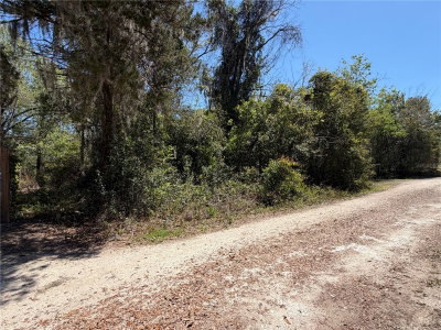 300blk 245TH Terrace, Newberry, FL, 32669 — photo 2