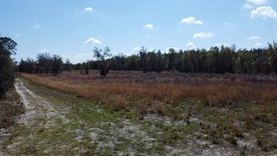 000 LANGELIER, Fort White, FL, 32038 — photo 2