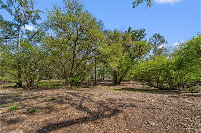 615 904 Street, Old Town, FL, 32680 — photo 2