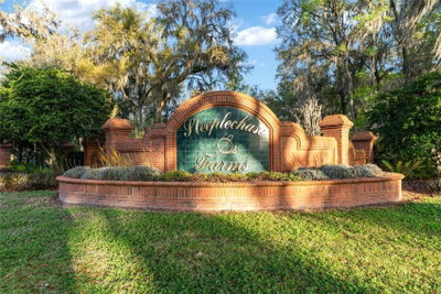 14312 41ST Avenue, Newberry, FL, 32669 — photo 2
