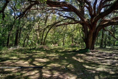 5005 63RD Boulevard, Gainesville, FL, 32608 — photo 2
