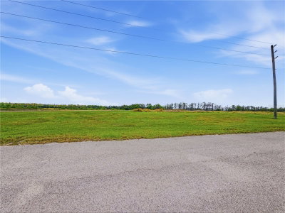 TBD TIMBERS Drive, Fort Meade, FL, 33841 — photo 2