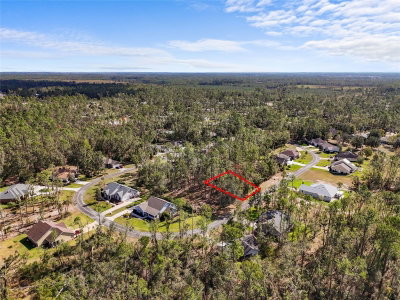 TBD WILDWOOD Drive, Live Oak, FL, 32060 — photo 2