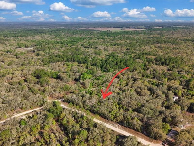 Lot 362 82ND Place, Bronson, FL, 32621 — photo 2