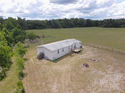 11804 COUNTY ROAD 234, Micanopy, FL, 32667 — photo 2