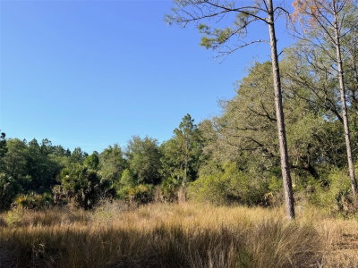6650 110TH Avenue, Chiefland, FL, 32626 — photo 2