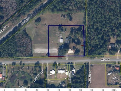 NE STATE ROAD 16, Raiford, FL, 32083 — photo 2