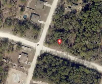 CANYON SWALLOW RD (PARCEL KEY 00784734), Weeki Wachee, FL, 34614 — photo 2