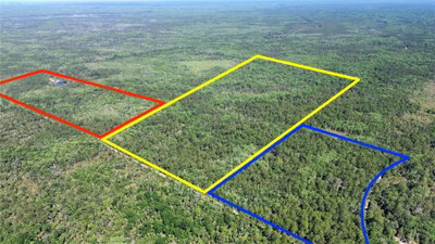 Tract 100 CR-347, Chiefland, FL, 32644 — photo 2