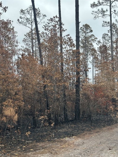 TBD 2ND Avenue, Palatka, FL, 32177 — photo 2
