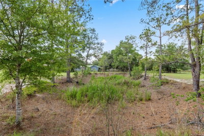 11115 105TH Street, Brooker, FL, 32622 — photo 2