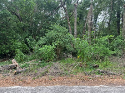 3638 LEE Drive, Inverness, FL, 34453 — photo 2
