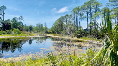 TBD 101ST LN, Cedar Key, FL, 32625 — photo 2