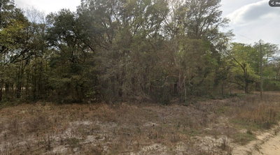 000 JERNIGAN Street, Interlachen, FL, 32148 — photo 2